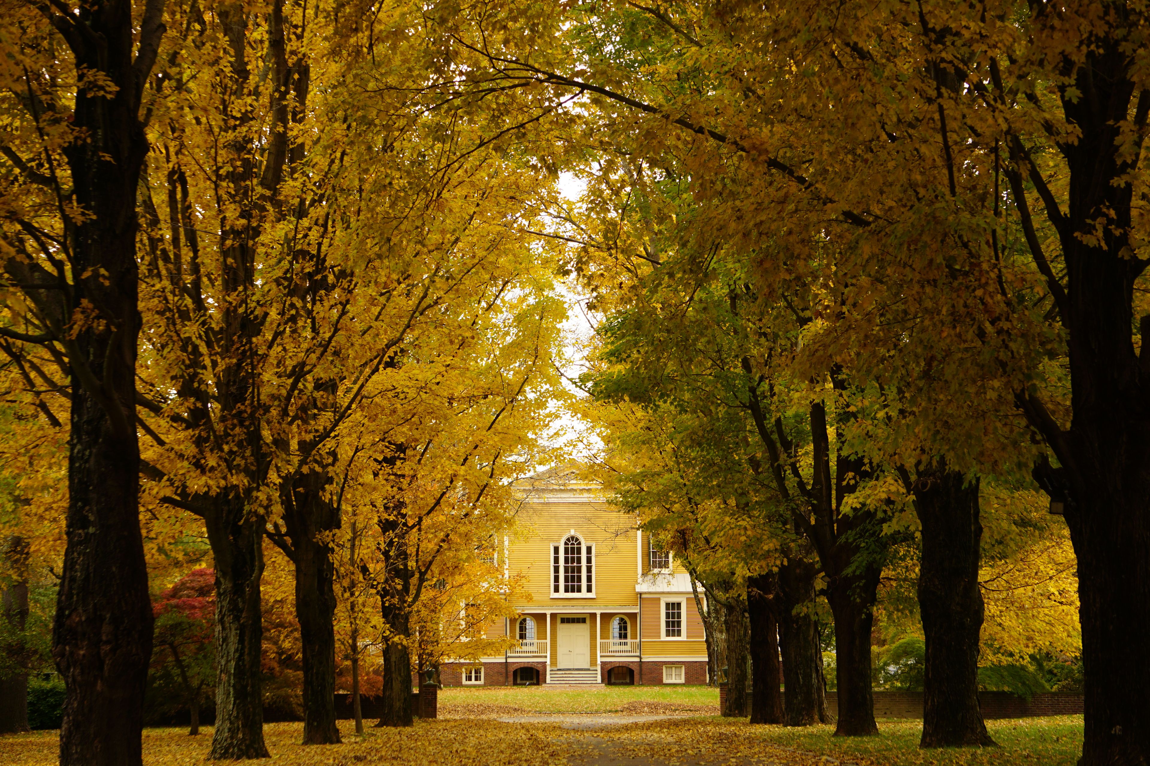 The Forecourt, an event space at Boscobel House and Gardens
