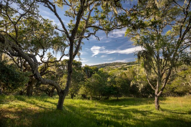 Featured photo from Camp Carmel Valley