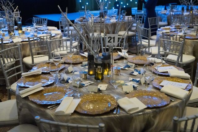 Featured photo from Horsing Around The Mandarin - BINA Farm Fundraising Gala at Mandarin Oriental, Boston in Boston, Massachusetts