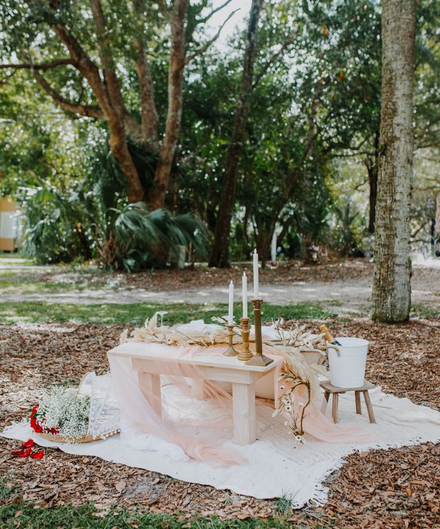 Featured photo from Park Proposal (Eli + Madison)