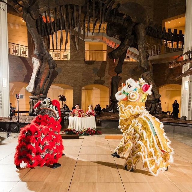 Featured photo from Jewish & Chinese Wedding at Fernbank Museum
