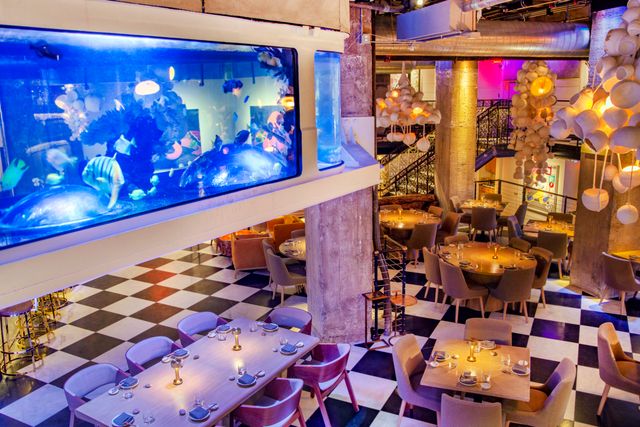 Featured photo from Mrs.Fish FULL BUYOUT