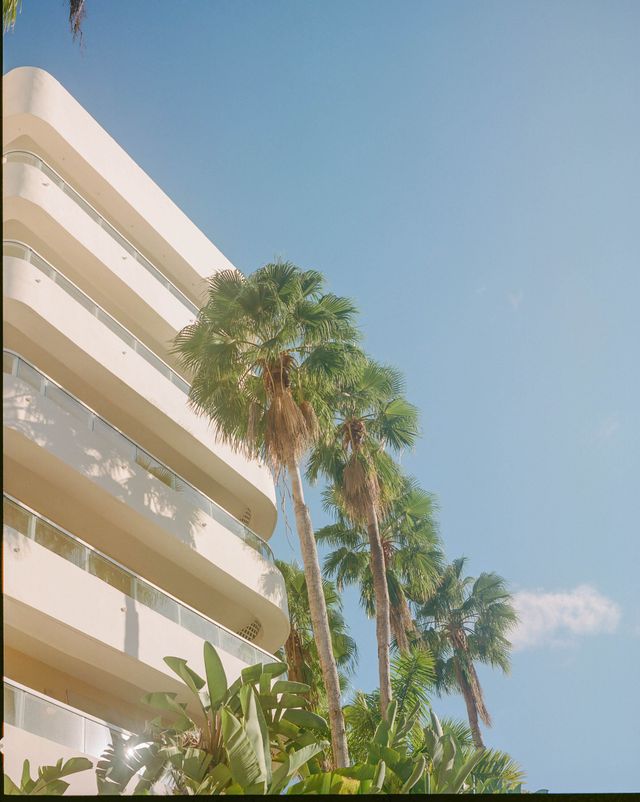Featured photo from This romantic couple got married with 14 of their closest loved ones at an intimate garden-inspired micro wedding in Miami's Coconut Grove