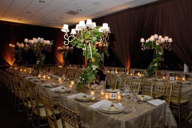 Featured photo from Linnaeus Room