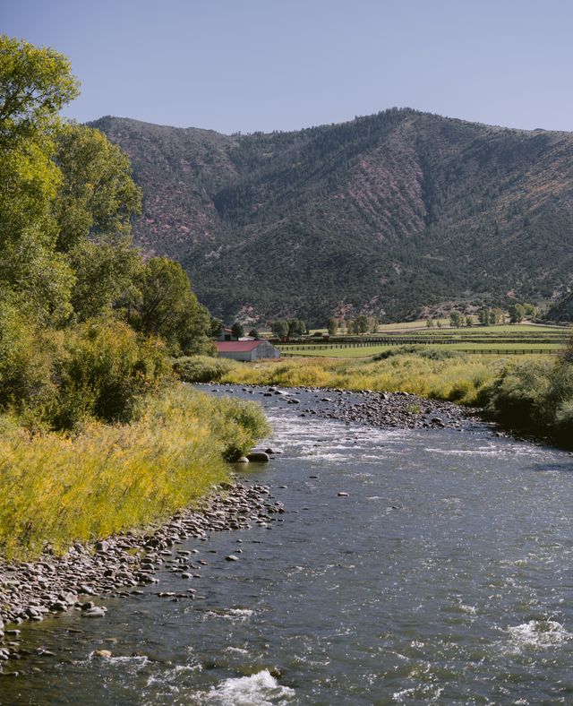 Featured photo from Melissa & Kyle