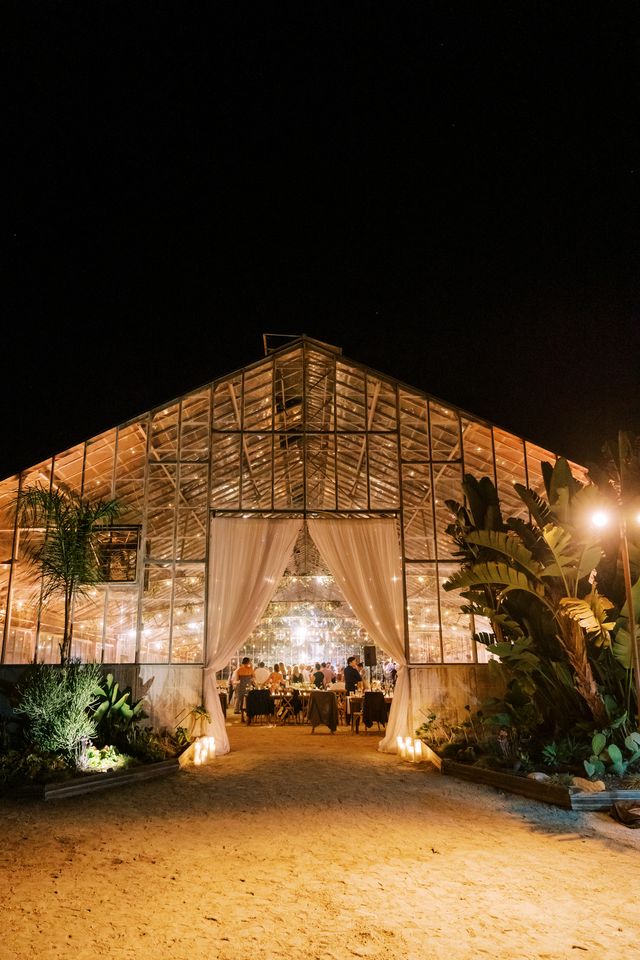 Featured photo from Orchid Farm - Greenhouse Glow