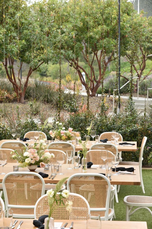 Featured photo from Vineyard Lawn