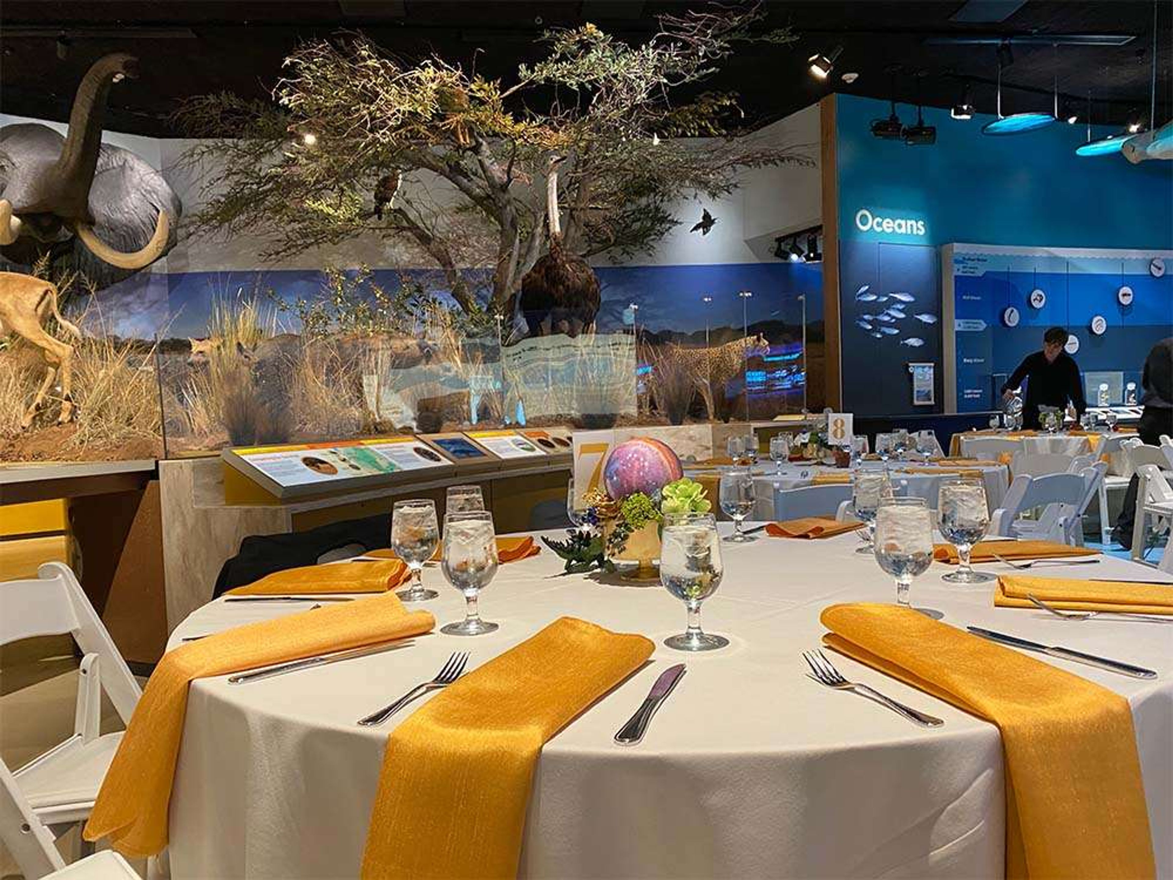 Ederic Exhibition Hall, an event space at Delaware Museum of Natural History