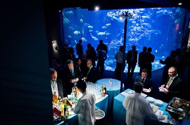 Featured photo from Aquarium