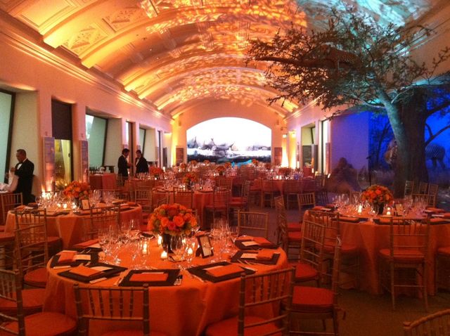 Featured photo from African Hall