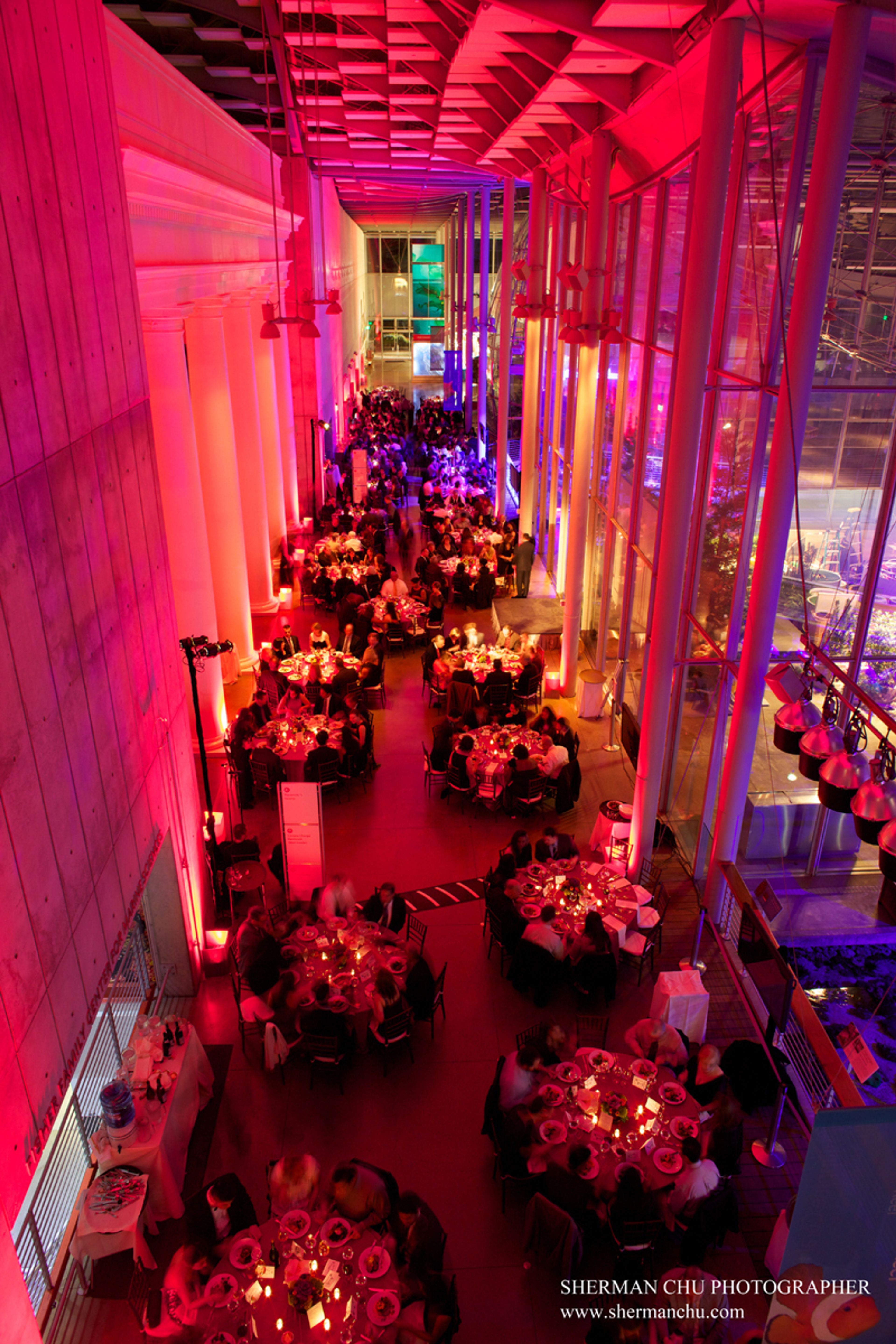 Grand Hall & Swamp, an event space at California Academy of Sciences