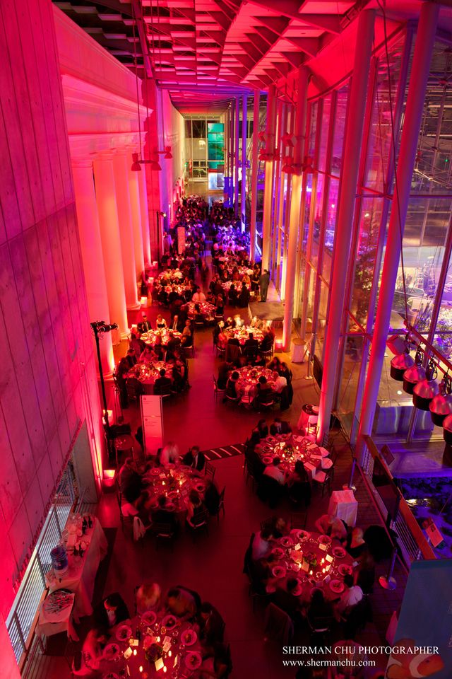 Featured photo from Grand Hall & Swamp