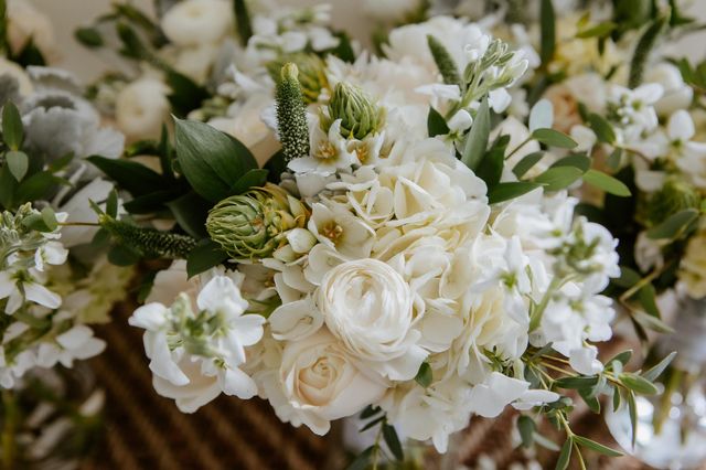 Featured photo from Cydney & Clay