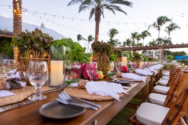 Featured photo from Hydroponic Farm Lawn