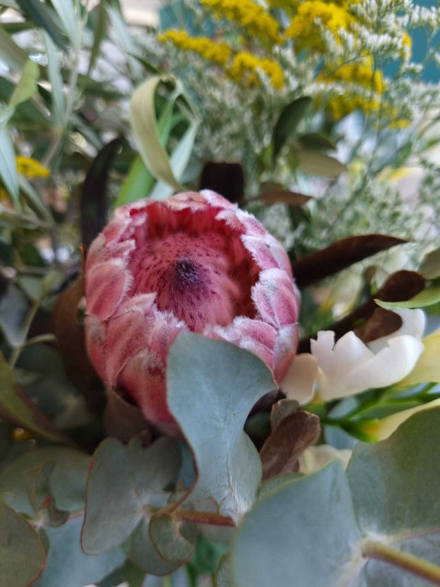 Featured photo from Jacques & Katherine Australian wedding