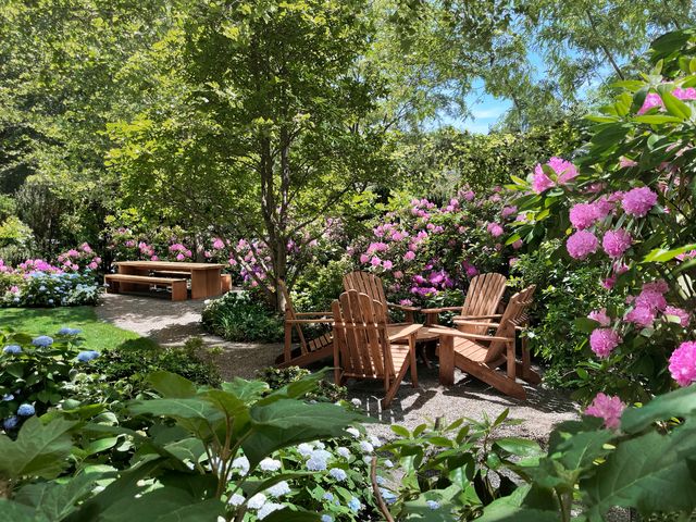 Featured photo from CHRYSTIE PARK