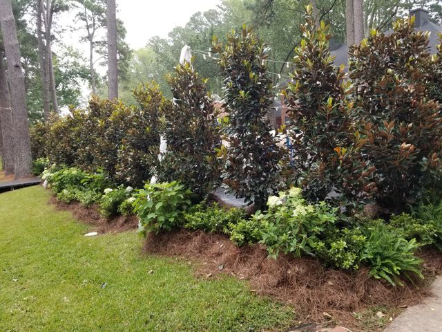 Featured photo from Magnolia Room in the Front Yard