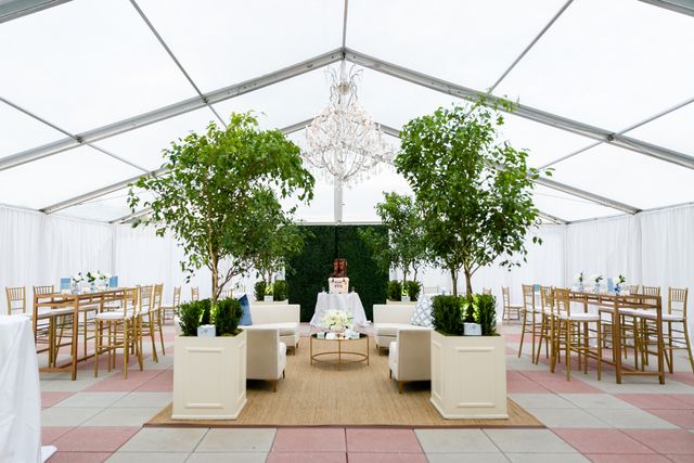 Featured photo from Ficus in Estate Planters with Boxwood Undeplanting