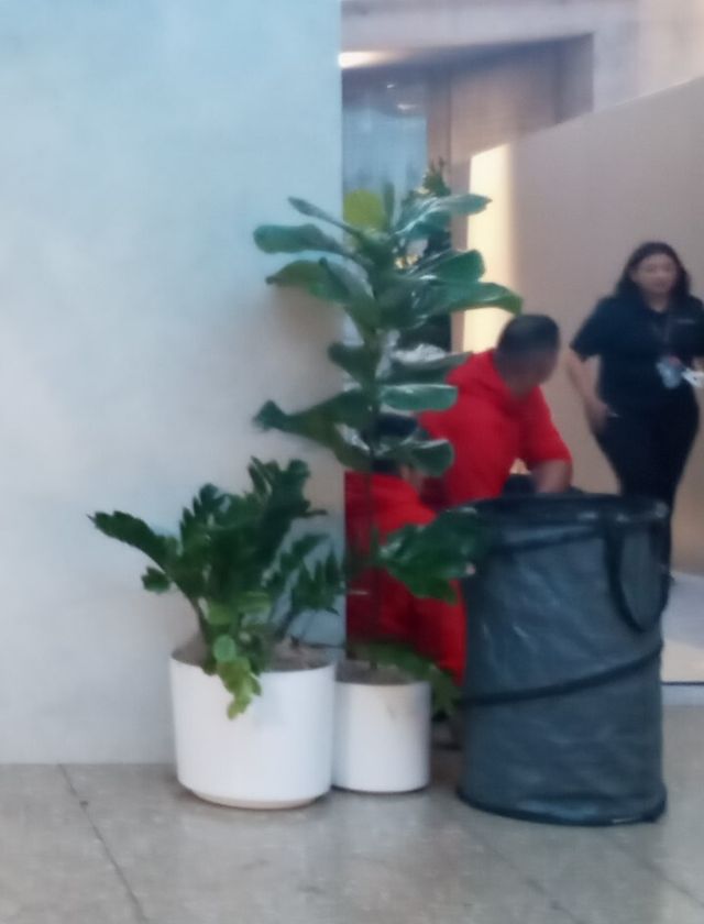 Featured photo from Last Minute Fashion Show