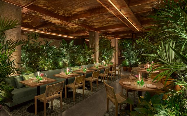 Featured photo from POPULAR