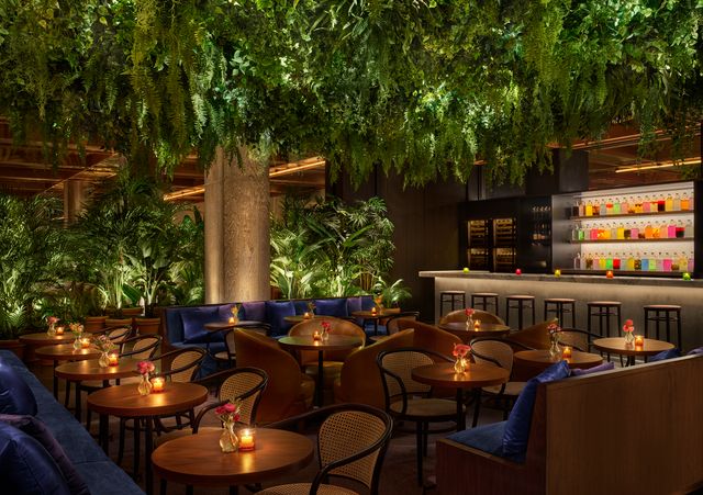 Featured photo from CANTINA & PISCO BAR