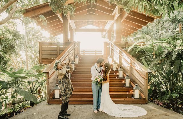 Featured photo from The Treehouse