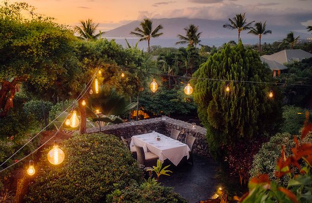 Featured photo from The Garden