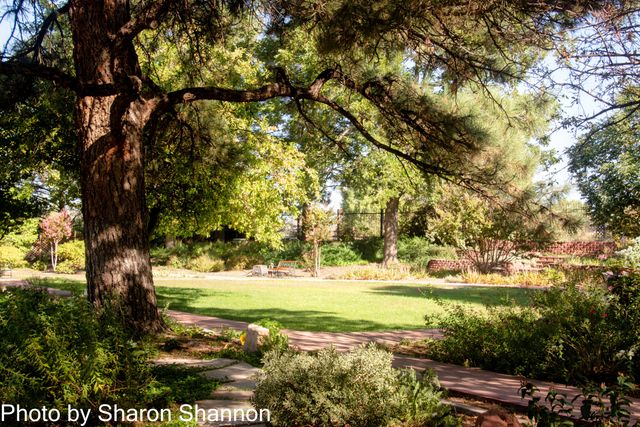 Featured photo from Los Altos Gardens