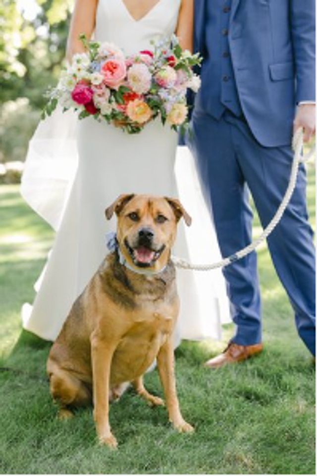 Featured photo from Seaside Nuptials at Round Hill Mansion in Dartmouth, Massachusetts