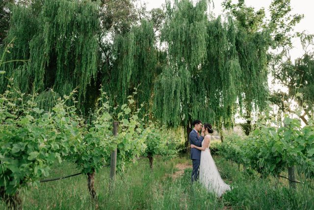 Featured photo from Rustic Bohemian Wedding at Cline Family Cellars in Napa, California