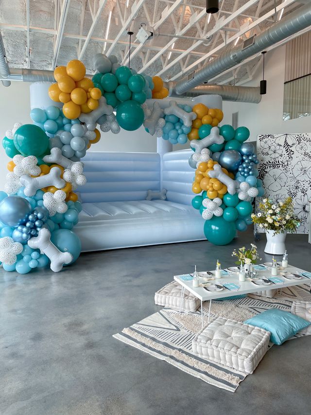 Featured photo from Puppy Palooza