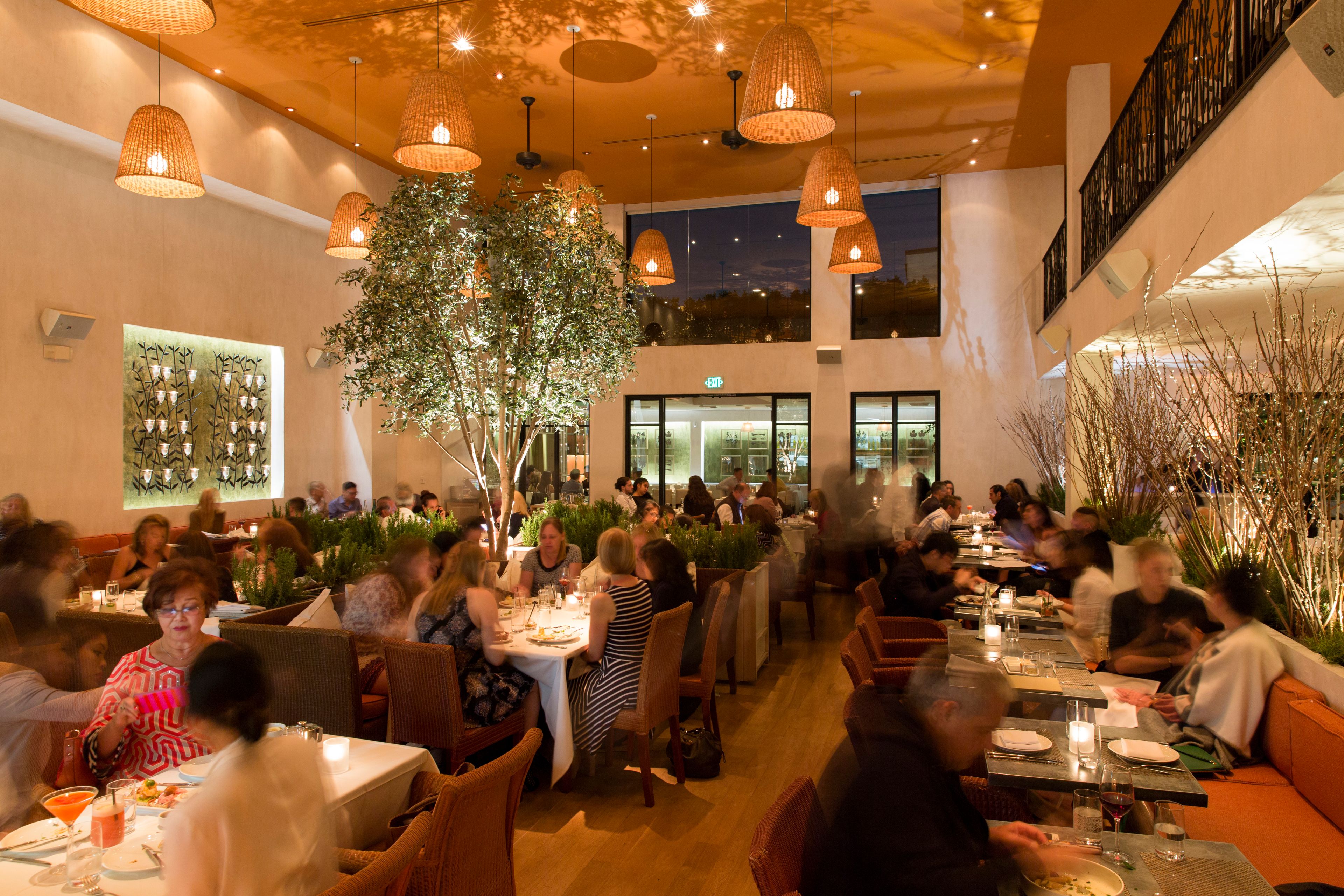 The Orchard Dining Room, an event space at Fig & Olive Melrose
