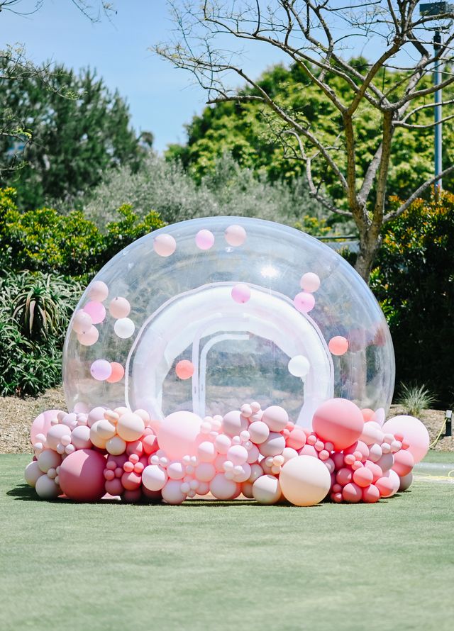 Featured photo from Olympia's Parisian CATFÉ