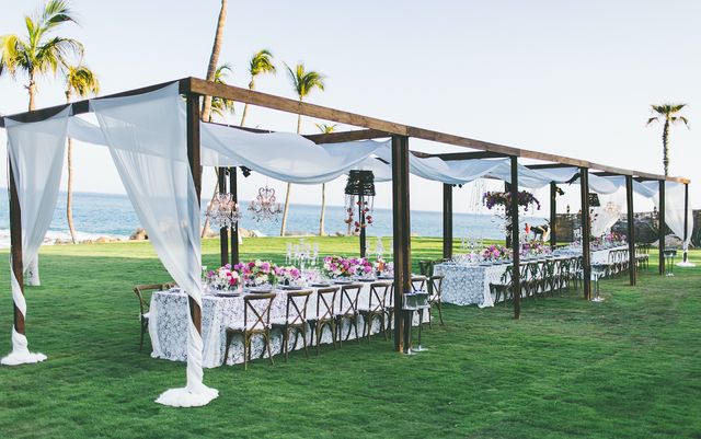 Featured photo from South Lawn