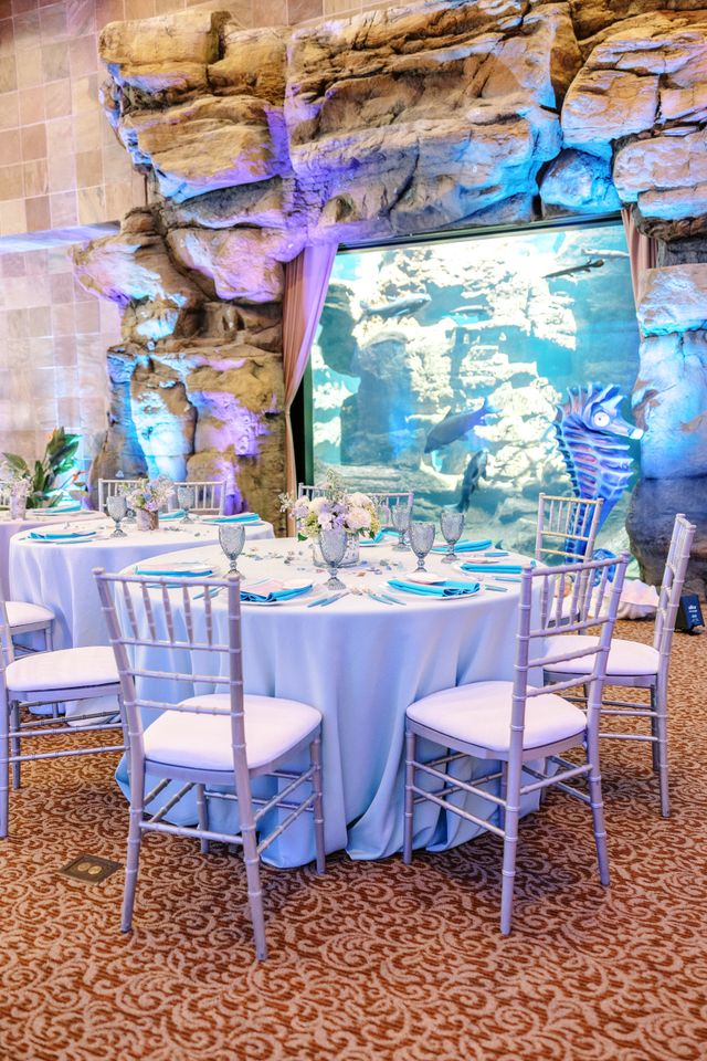 Featured photo from Under the Sea Baby Shower