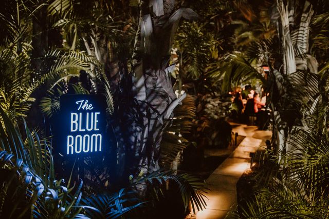 Featured photo from The Blue Room