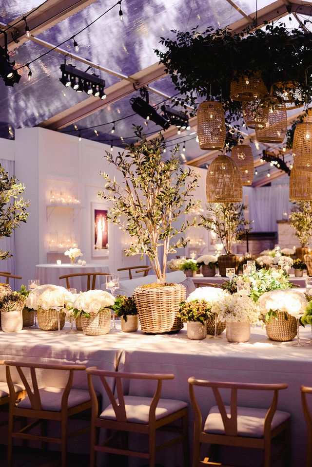 Featured photo from KYLE AND TECHLA