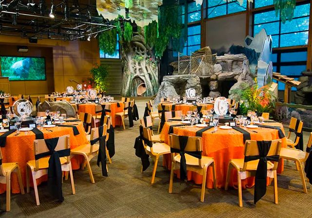 Featured photo from Zoomazium