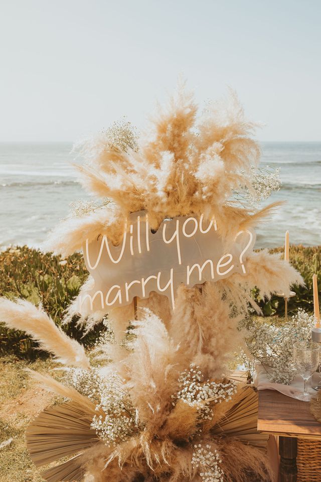 Featured photo from La Jolla Proposal!