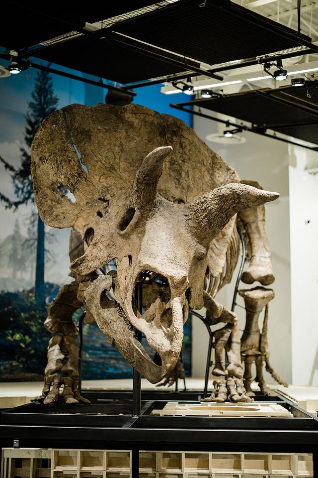 Featured photo from 19TH ANNUAL IMAGINATION EXCAVATION GALA BY GLAZER CHILDRENS MUSEUM