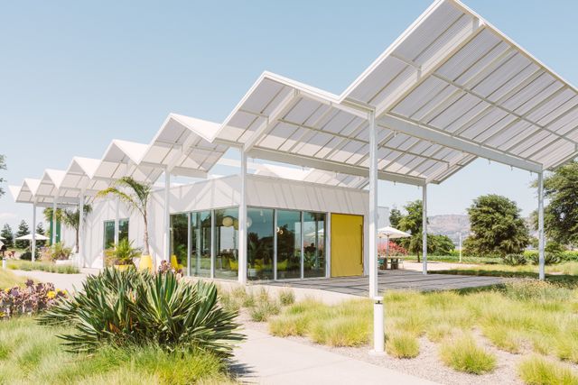 Featured photo from Ashes & Diamonds Winery