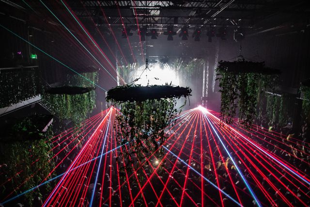 Featured photo from Brondo Jungle Tour