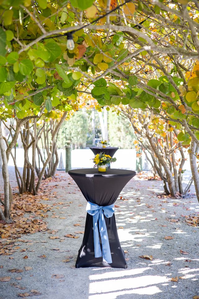 Featured photo from Arched Trees