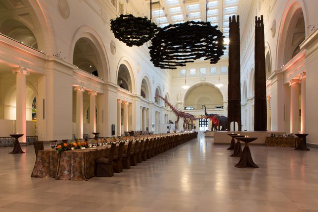 Featured photo from A Night at the Museum