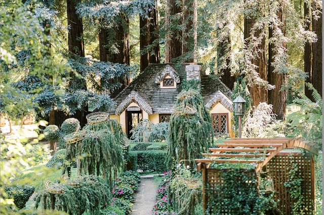 Featured photo from Fantasy Garden