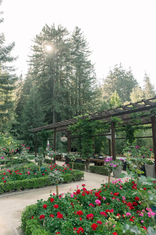 Featured photo from Apple Knoll