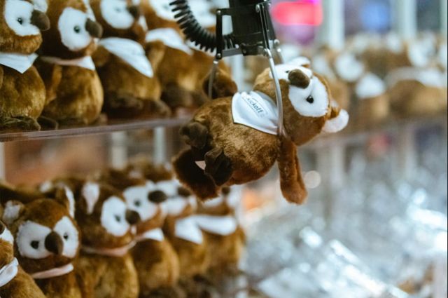 Featured photo from Samsara SKO Offsite Party