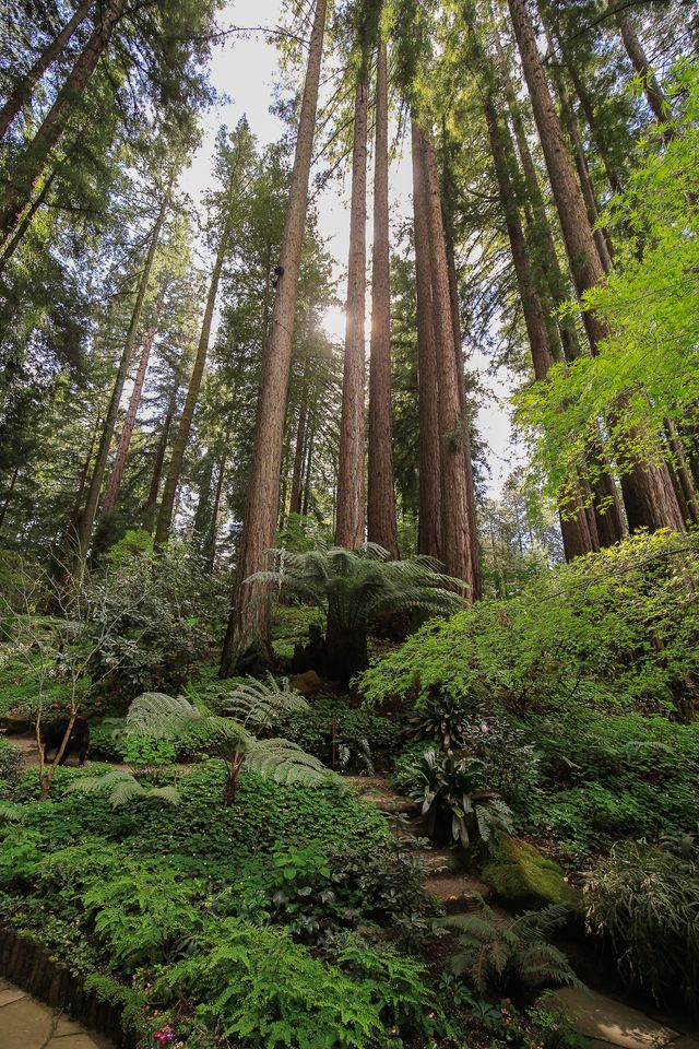 Featured photo from Chapel