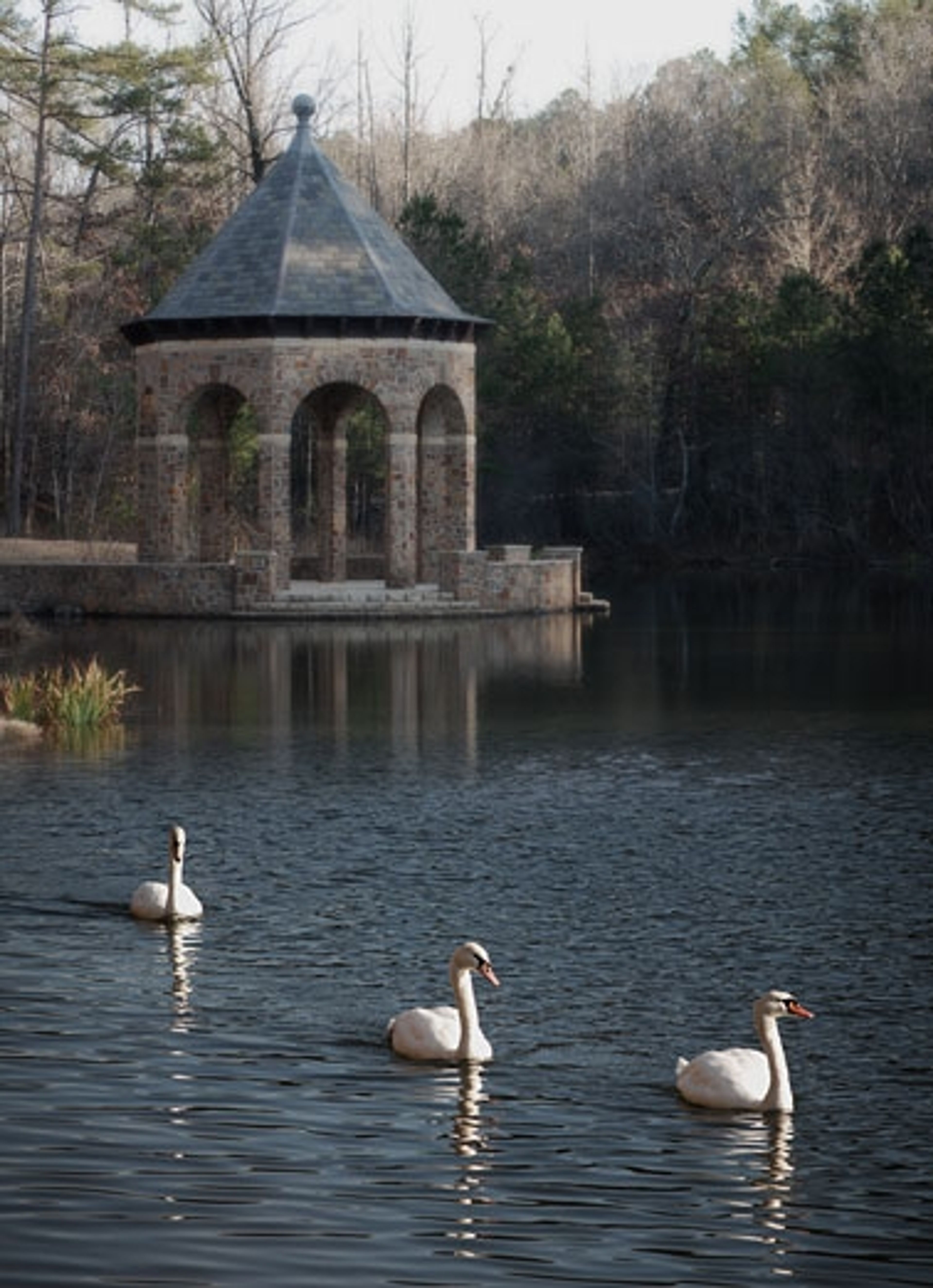 Butler Gazebo, an event space at Wildwood Park for the Arts