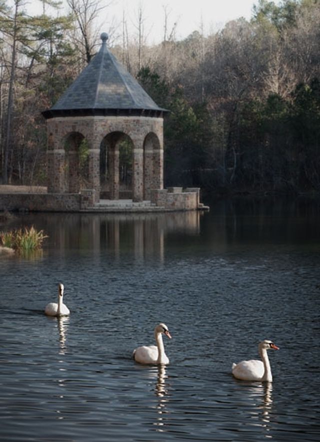 Featured photo from Butler Gazebo